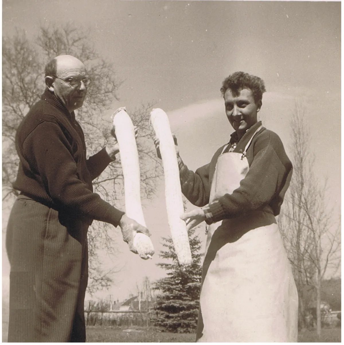 Maurice et Gérard Défontaine confectionnant des rosettes